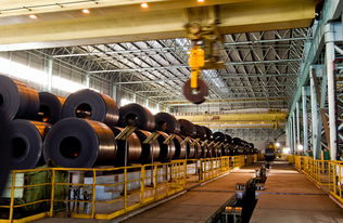 热轧工序“一所对一厂”技术服务模式 深耕现场，共铸精品